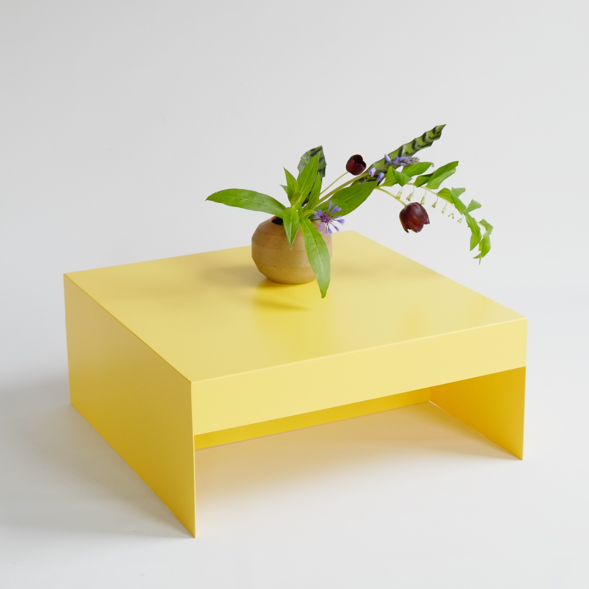 Single Form Coffee Table